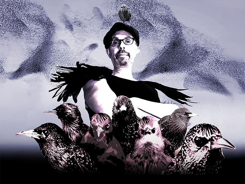 Murmuration — Steve Vertigo